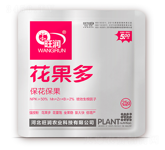 �����ࣨ����������-����