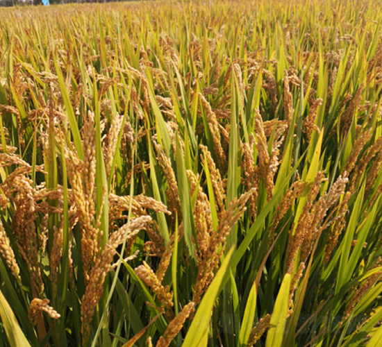 �(zh��n)��18̖(h��o)-ˮ���N��-�S��(l��)�N�I(y��)