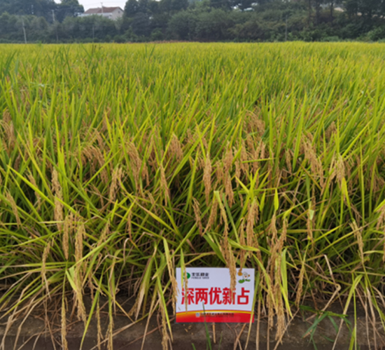 ��Ƀ�(y��u)��ռ-ˮ���N��-�S���N�I(y��)