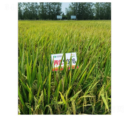 �Ƀ�(y��u)5076-ˮ���N��-�S���N�I(y��)