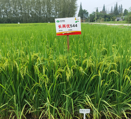 �L(zh��ng)�Ƀ�(y��u)544-ˮ���N��-�S��(l��)�N�I(y��)