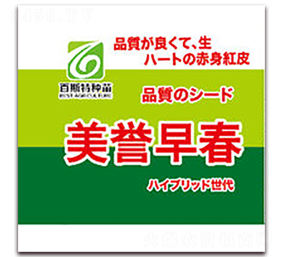 ���u�紺-���}���N��-��˹��