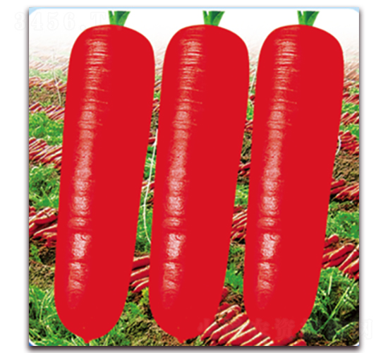 ���u(y��)һ̖(h��o)-���}���N��-��˹��