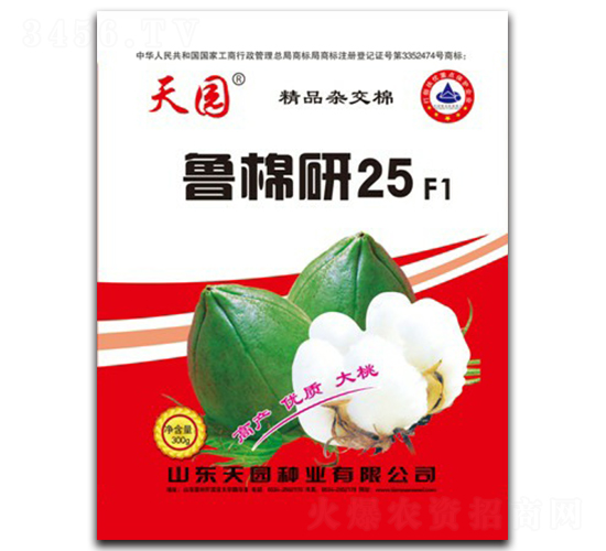 ������25̖-�޻��N��-��@�N�I(y��)