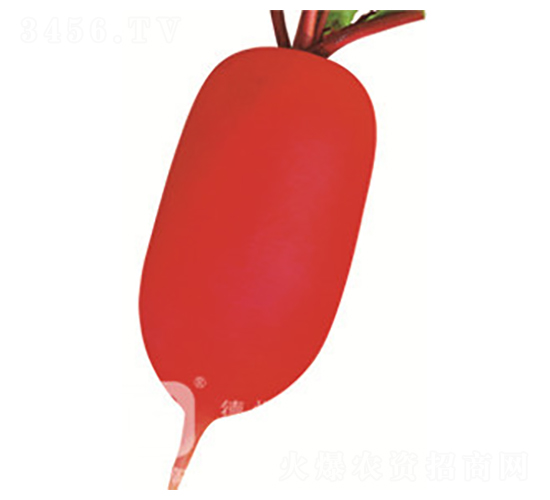 �tС��-�tƤ�}���N��-�¸�