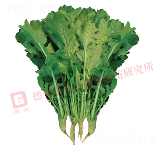 R460-�}���N��-�¸�