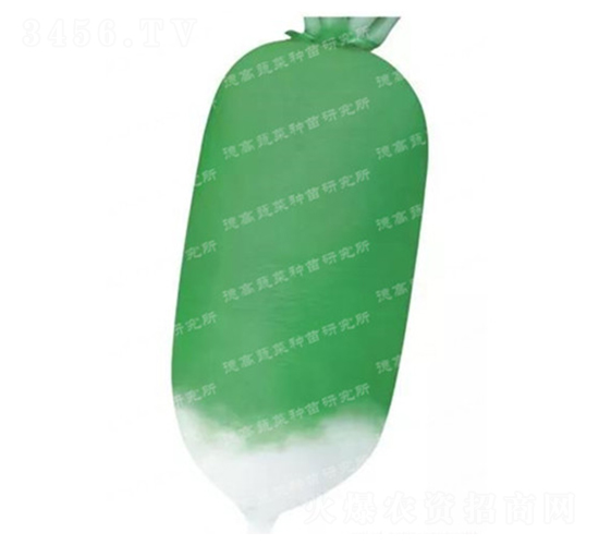 �R�ɲ��}-�S�GƤ�}���N��-�¸�