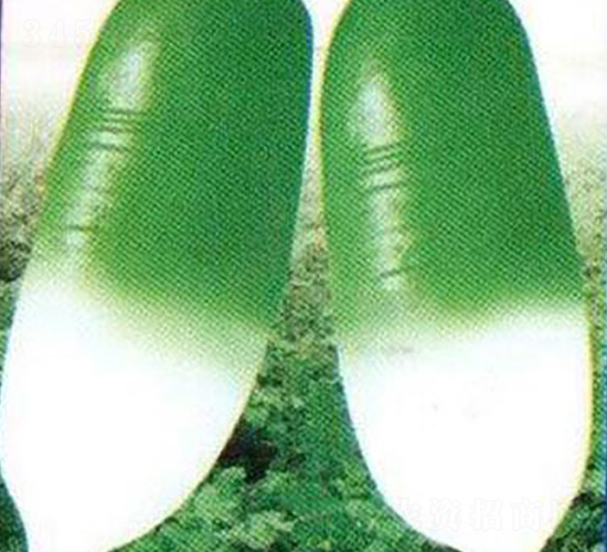 �נ�-�}���N��-�Έ@����