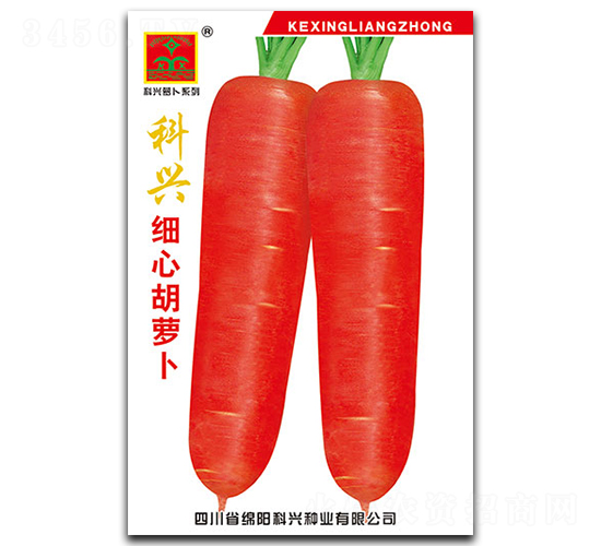 ���d���ĺ��}��-�}���N��-���d�N�I(y��)