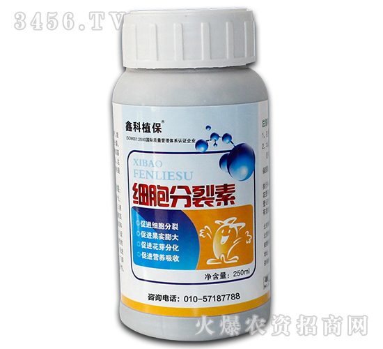 ֲ���{(di��o)��(ji��)��-��(x��)��������-������˹