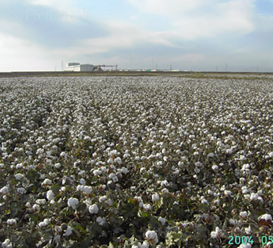 �º�35̖(h��o)-�޻��N��-��ʥ�̷N�I(y��)