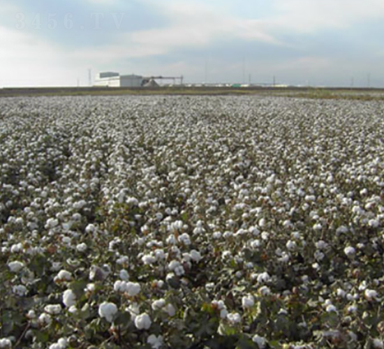 �����67̖(h��o)-�޻��N��-��ʥ�̷N�I(y��)