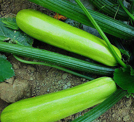 �G����-�����J�N��-�����S��