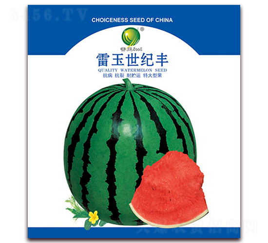 �������o(j��)�S-���ϷN��-����N�I(y��)