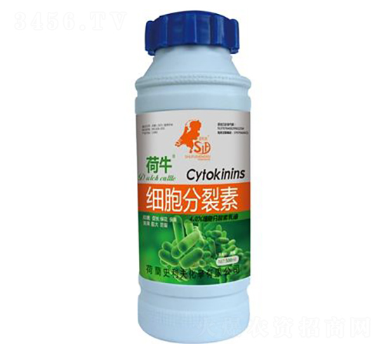 ��(x��)��������-��ţ-ʷ����