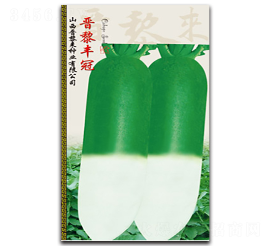 �x���S��-�}���N��-�x���