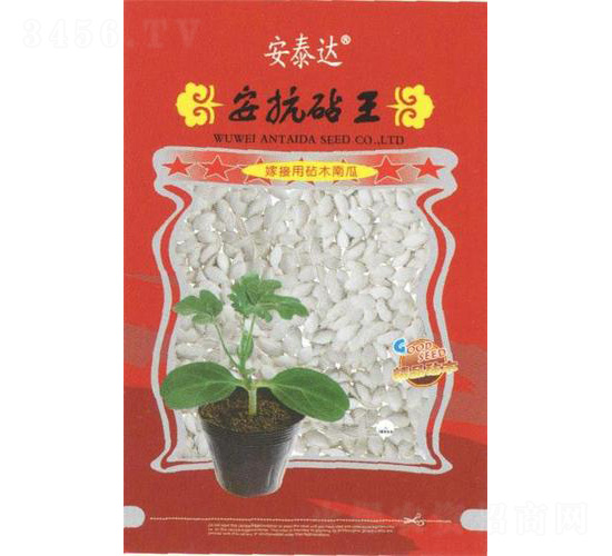 ��������-�ϹϷN��-��̩�_