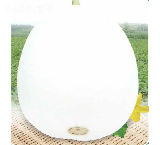 �״������-��ϷN��-��̩�_(d��)