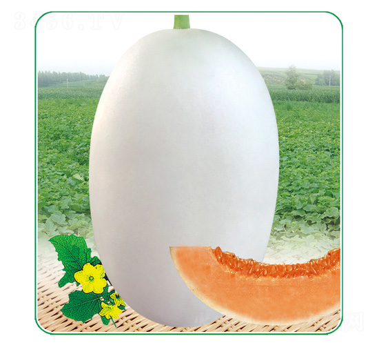 �״���-��ϷN��-��̩�_(d��)