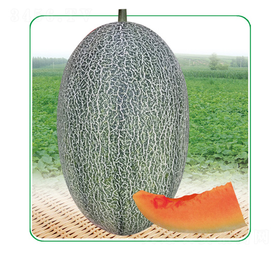 ��̩��17-��ϷN��-��̩�_(d��)