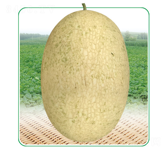 ��̩��4̖-��ϷN��-��̩�_(d��)