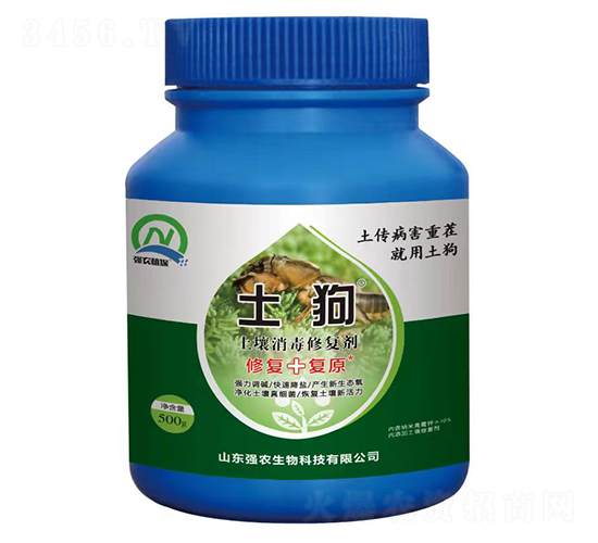 ���������ޏ�(f��)��-����-���r(n��ng)����