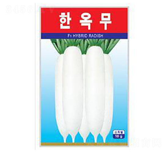 ����-�}���N��-����N�I(y��)