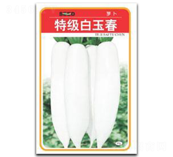 �ؼ�(j��)����-�}���N��-����N�I(y��)