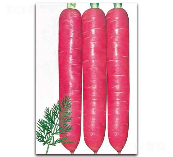 �ϼt��һ̖-���}���N��-�|������