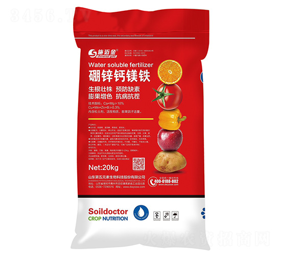 ���\�}�V�F-ʩ�~��-����Ԫ��