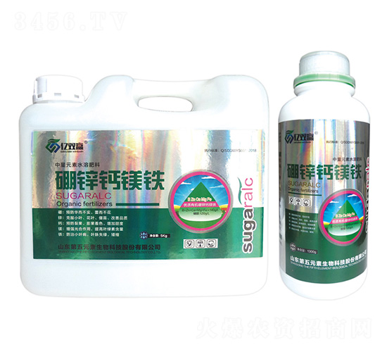 ���\�}�V�F-�|�p�A-����Ԫ��