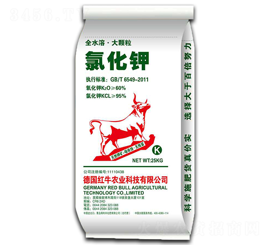 ���w���Ȼ��-�����S