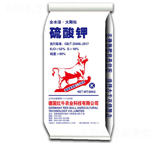 ���w�������-�����S