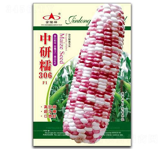 ����Ŵ306-Ŵ���׷N��-��¡��