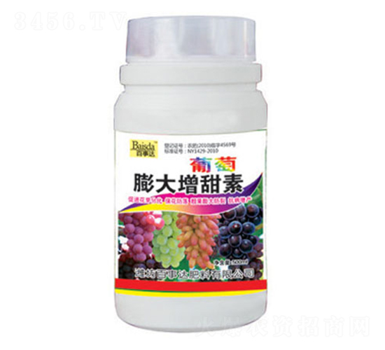 �������������-�����_(d��)