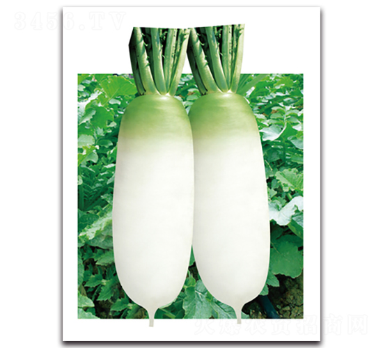 �ഺ�}��-�}���N��-���}�r�I(y��)