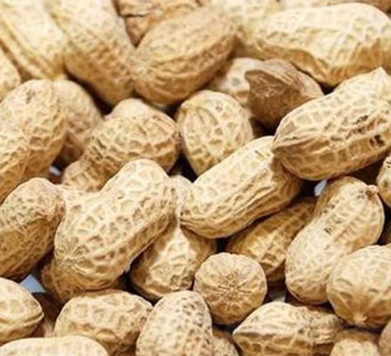 ����4̖(h��o)-�����N��-���S�r(n��ng)�I(y��)