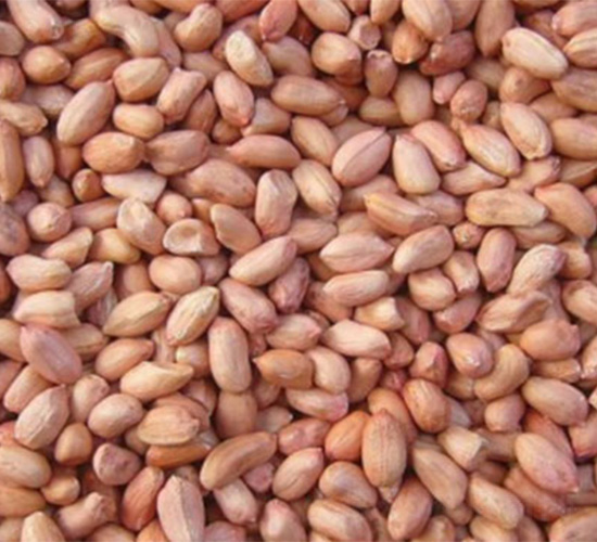 ����16̖-�����N��-���S�r(n��ng)�I(y��)