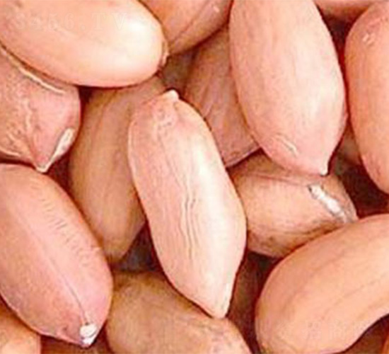 ����1̖(h��o)-�����N��-���S�r(n��ng)�I(y��)