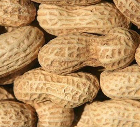 ԥ��15̖(h��o)-�����N��-���S�r(n��ng)�I(y��)