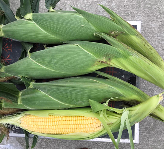 ����78-���׷N��-���S�r(n��ng)�I(y��)