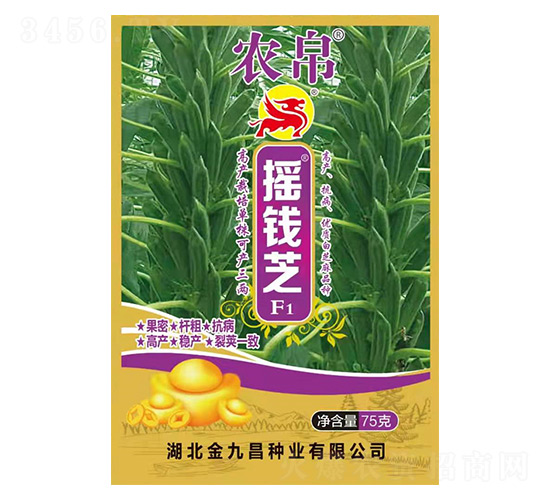 �u�X֥F1-֥��N��-��Ų�