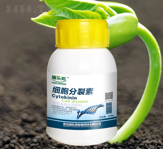 ��(x��)��������-������