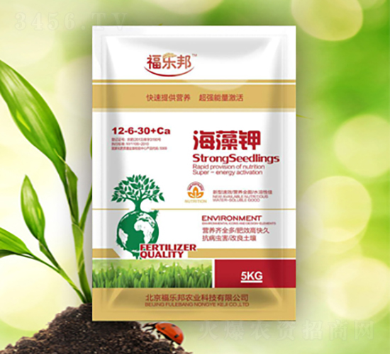 �����-������