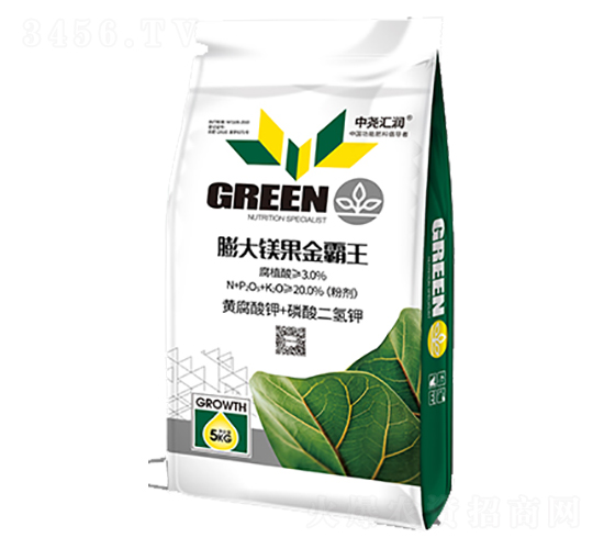 ����V�������-�Ј�R��