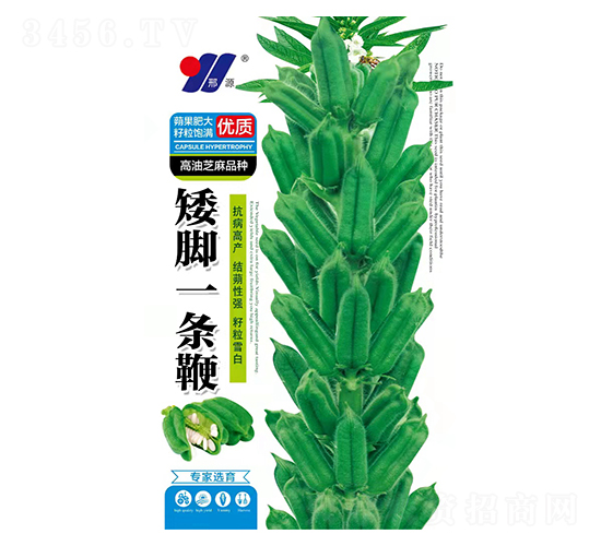 ���_һ�l��-֥��N��-��Դ�r(n��ng)�I(y��)