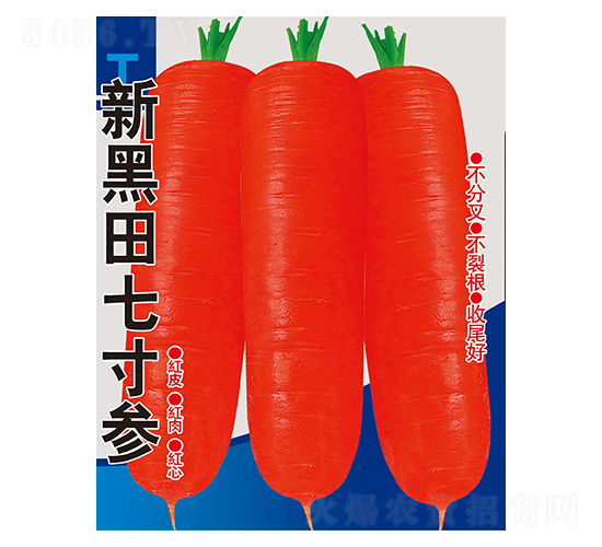 �º����ߴ煢-�}���N��-��Դ�r�I(y��)