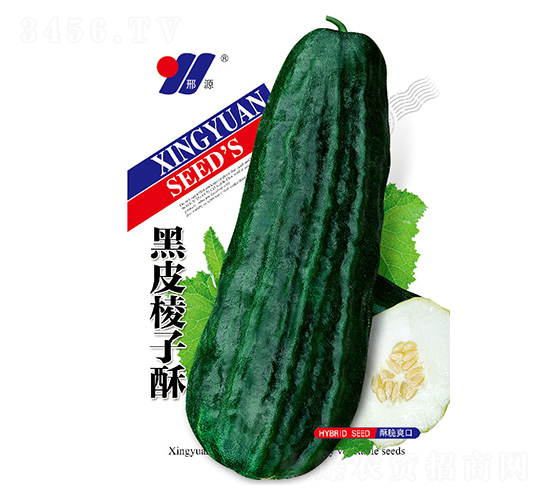 ��Ƥ������-��ϷN��-��Դ�r(n��ng)�I(y��)