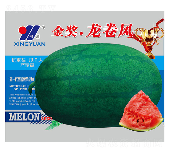 �������L(f��ng)-���ϷN��-��Դ�r(n��ng)�I(y��)