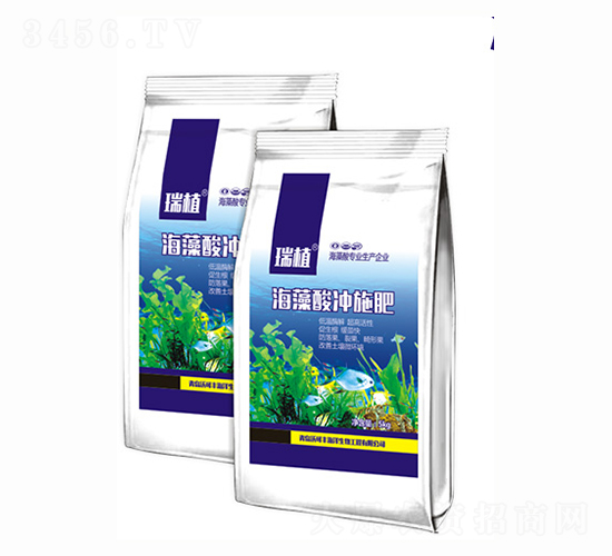 ������_ʩ��-�ֿ��S